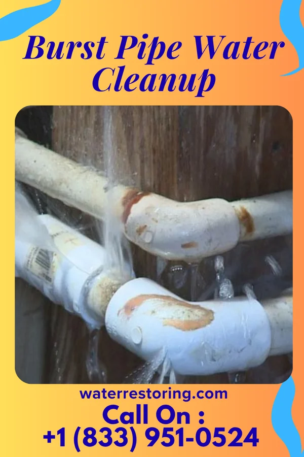 Burst Pipe Water Cleanup in Chewelah, WA