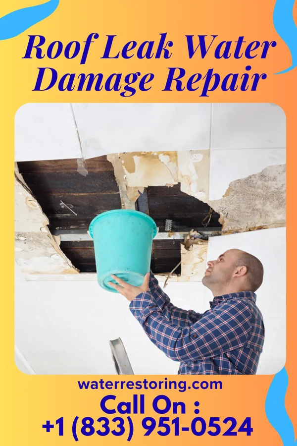 Roof Leak Water Damage Repair in Chewelah, WA